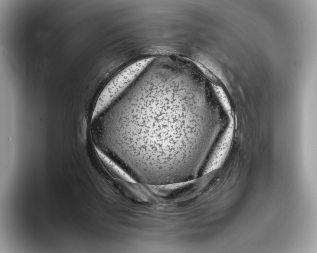 X0000095950109200802011110