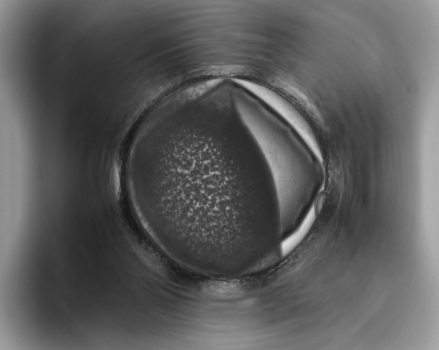 X0000095950110200802011110