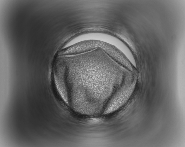 X0000095950111200802011110