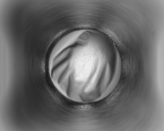 X0000095950112200802011110