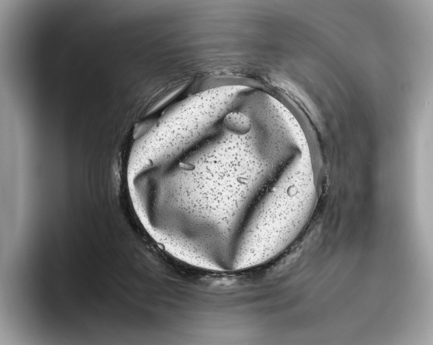 X0000095950113200802011109