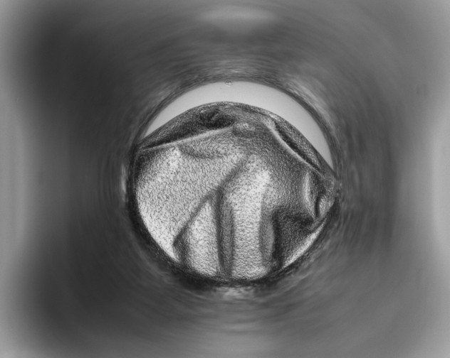 X0000095950115200802011109