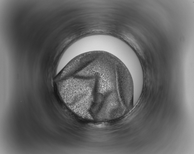 X0000095950116200802011109