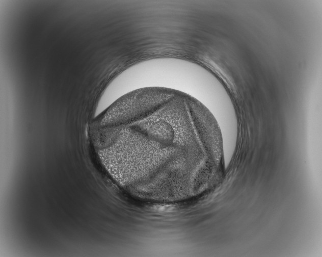 X0000095950117200802011109