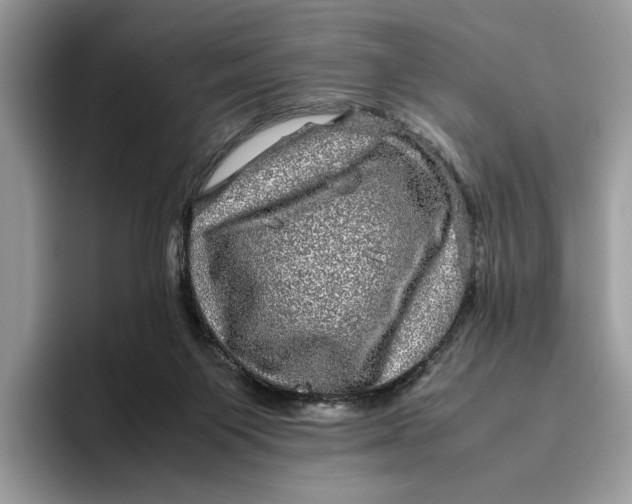 X0000095950119200802011109