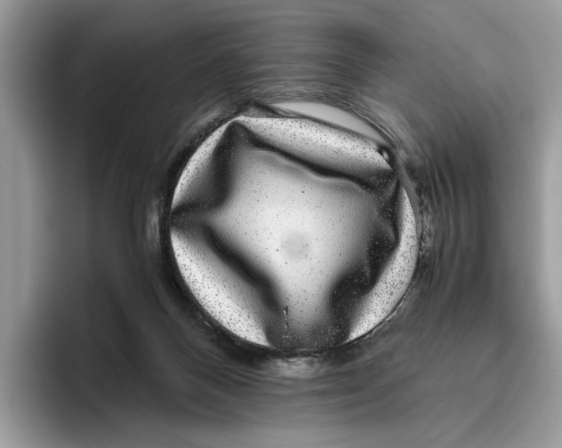 X0000095950120200802011109