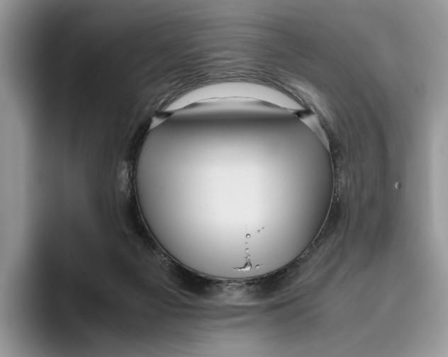 X0000095950121200802011109