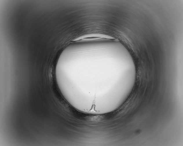 X0000095950122200802011109