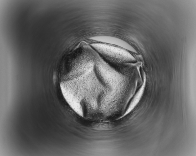 X0000095950123200802011109