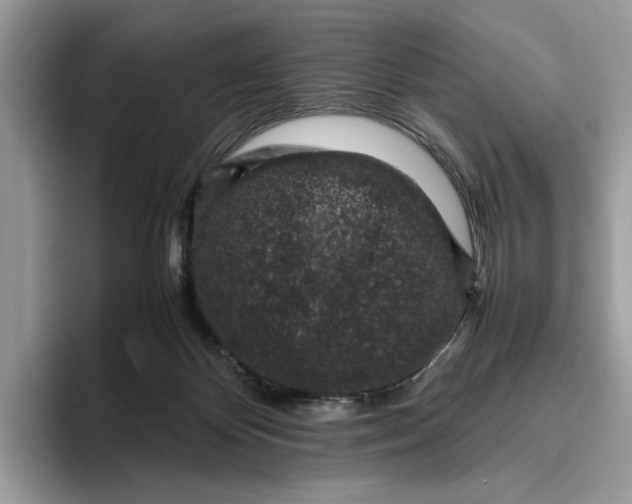 X0000095950124200802011109