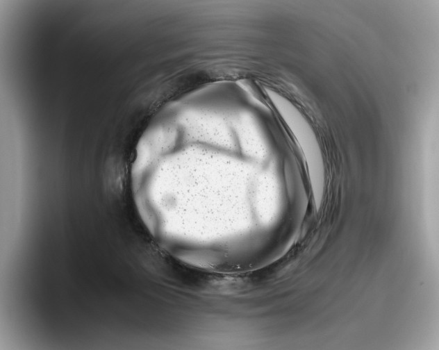 X0000095950125200802011109