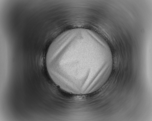 X0000095950126200802011109