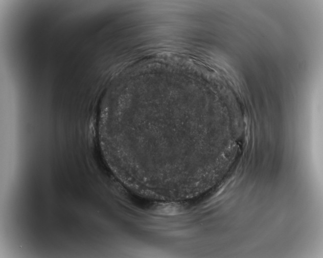 X0000095950127200802011109