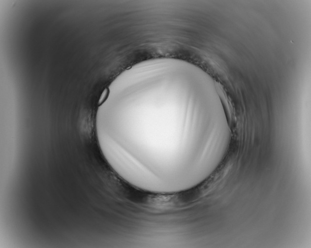 X0000095950129200802011109