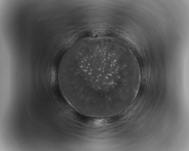 X0000095950130200802011109