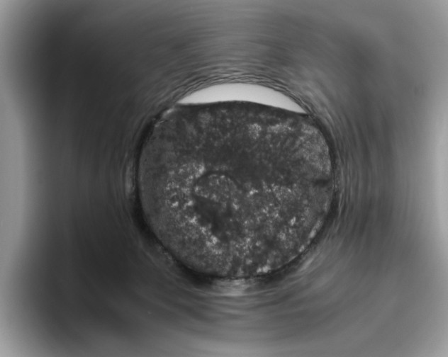 X0000095950131200802011109