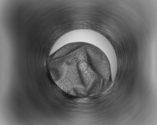 X0000095950132200802011109