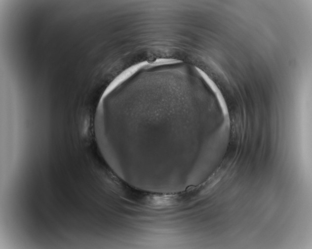 X0000095950134200802011109