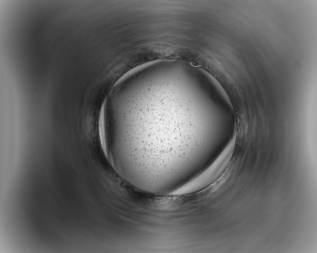 X0000095950136200802011109