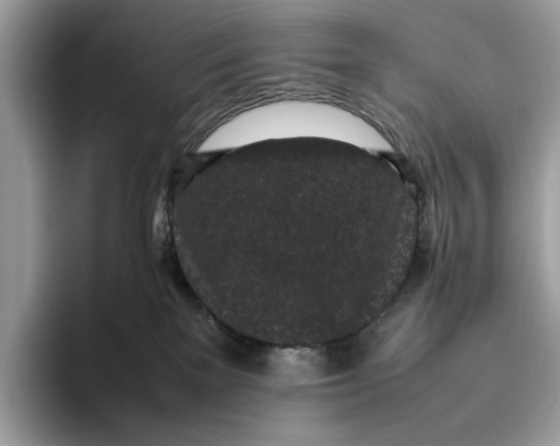 X0000095950137200802011109