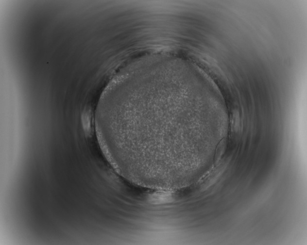 X0000095950138200802011109