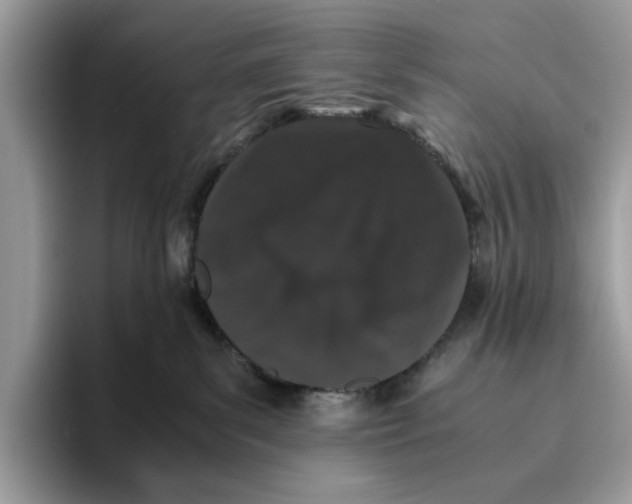 X0000095950139200802011109