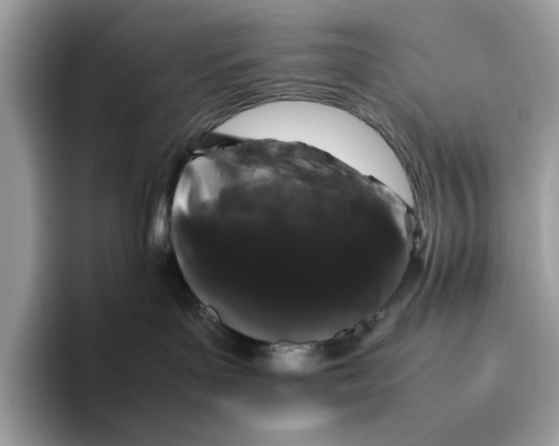 X0000095950143200802011109