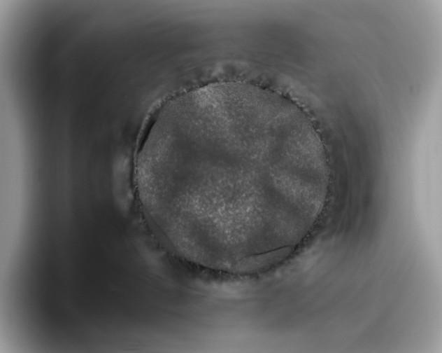 X0000095950144200802011109