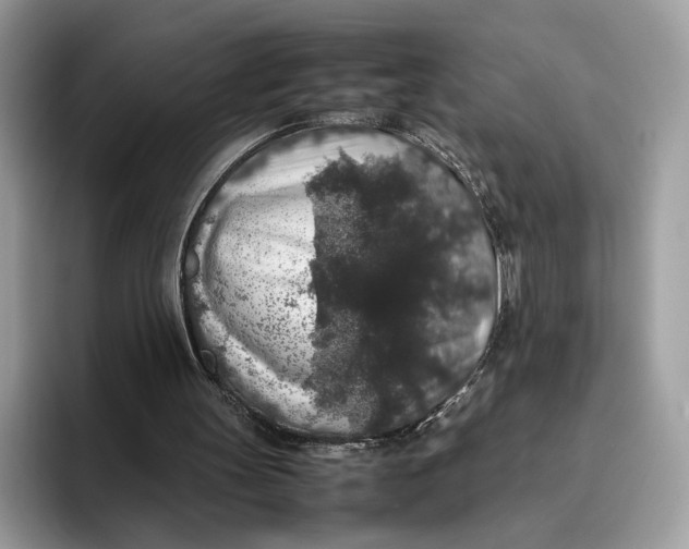 X0000095950147200802011108