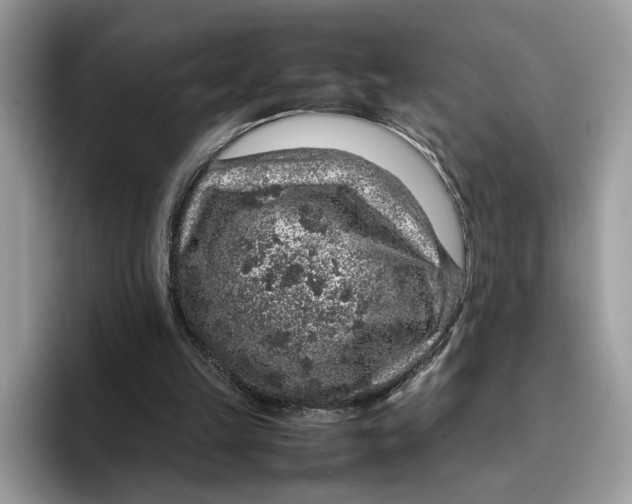 X0000095950149200802011109