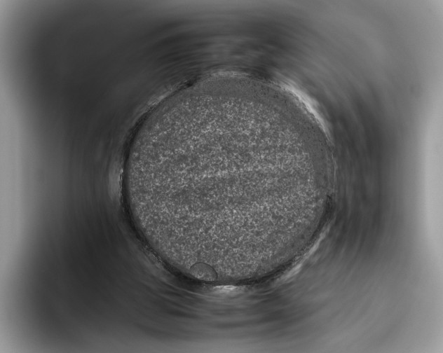 X0000095950153200802011109