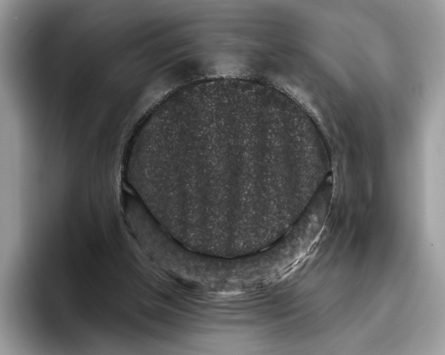 X0000095950154200802011109