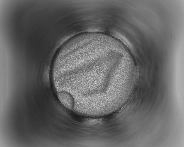 X0000095950155200802011109