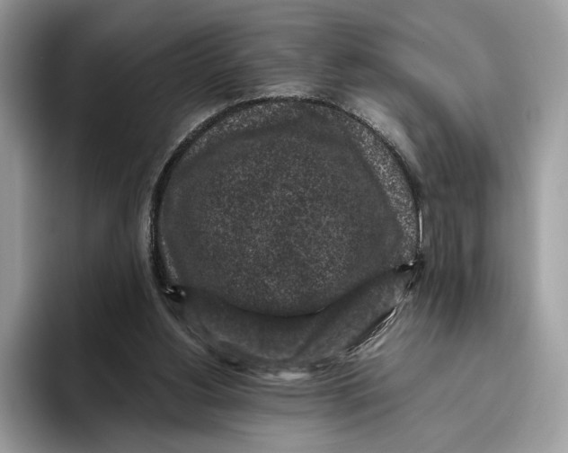 X0000095950156200802011109