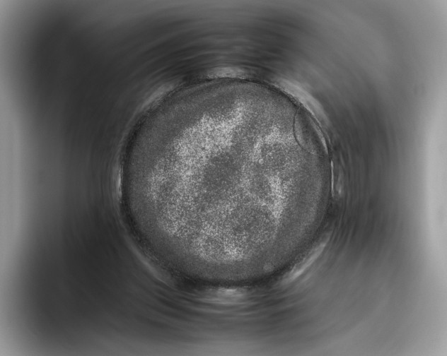 X0000095950157200802011109