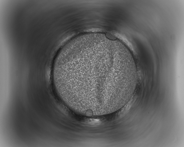 X0000095950159200802011109