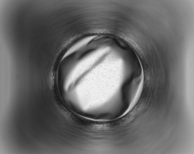 X0000095950160200802011109