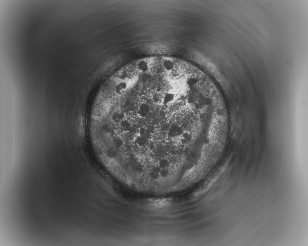 X0000095950161200802011109