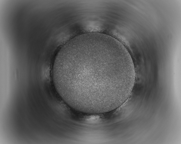 X0000095950162200802011109