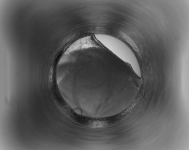 X0000095950163200802011109