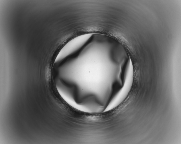 X0000095950164200802011109