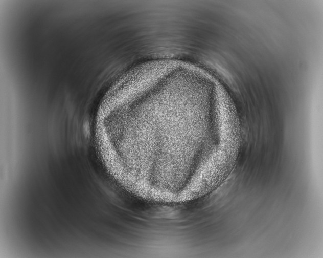 X0000095950166200802011109