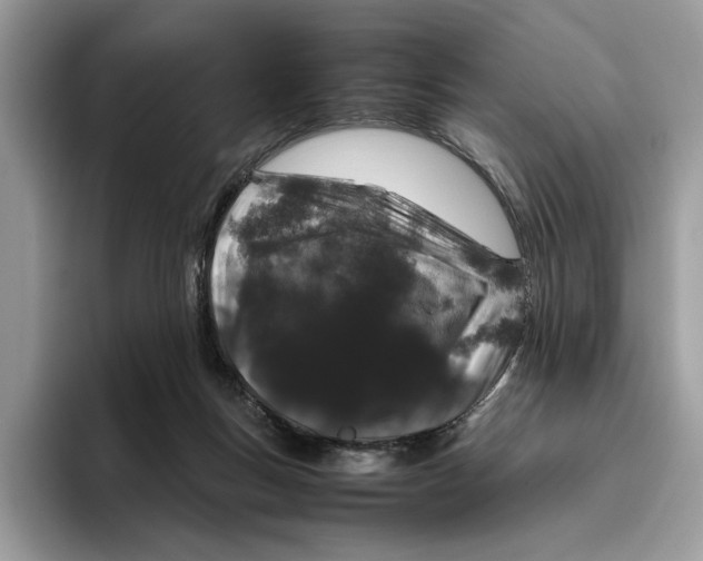 X0000095950167200802011109