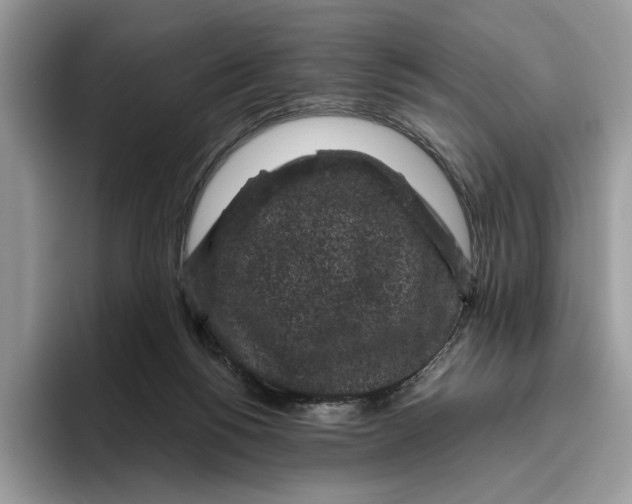 X0000095950168200802011109