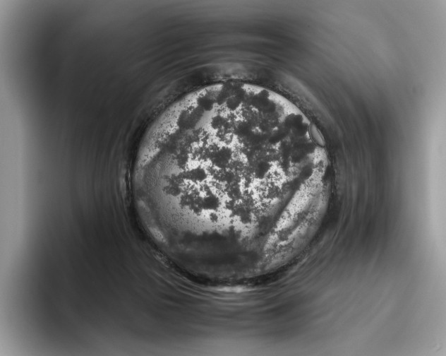 X0000095950169200802011109