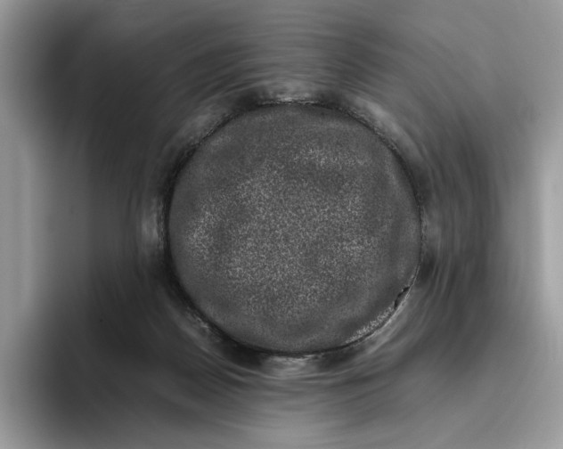 X0000095950170200802011109