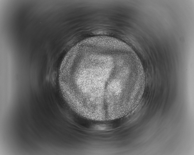 X0000095950171200802011109