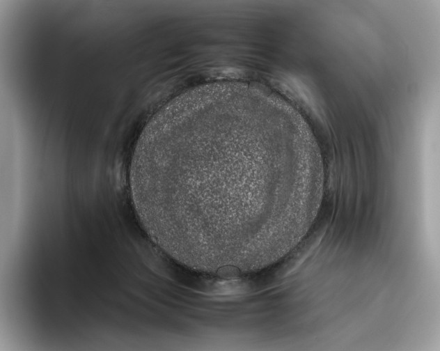 X0000095950173200802011109