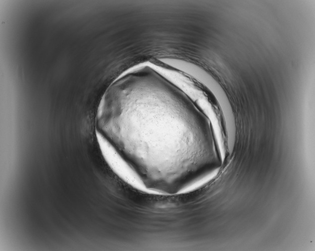 X0000095950175200802011109