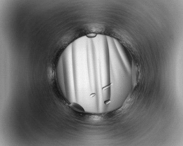 X0000095950176200802011109